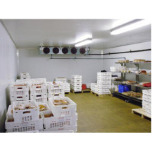 Commercial / Industrial Cold Room / Blast Freezer en venta en es.dhgate.com